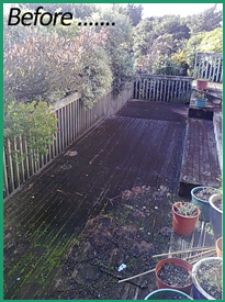 House Washing Auckland Before