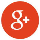Google+ Icon